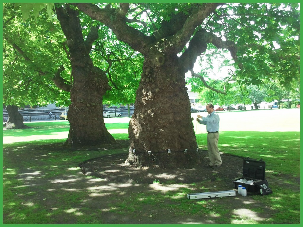 Arboricultural Consultant