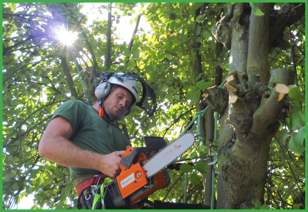 Tree Pruning